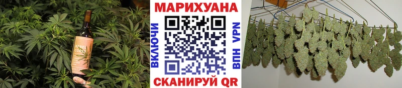 Cannafood конопля Королёв