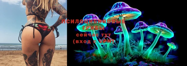 твердый Туринск