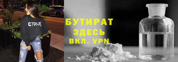 твердый Туринск
