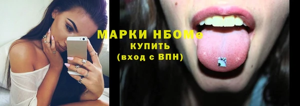 твердый Туринск