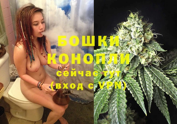 твердый Туринск