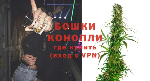 твердый Туринск