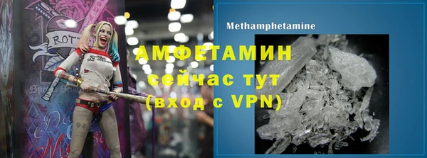 твердый Туринск