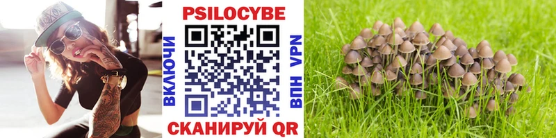 Псилоцибиновые грибы Cubensis Королёв